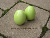 Jajko od ceramicznej kury - zielone
