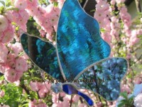Motyl w niebieskościach I