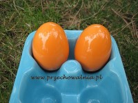 Jajko od ceramicznej kury - pomarańczowe